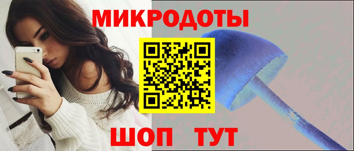 Семёнов  Псилоцибиновые грибы Cubensis  Вход с VPN  Псилоцибиновые грибы Psilocybe 